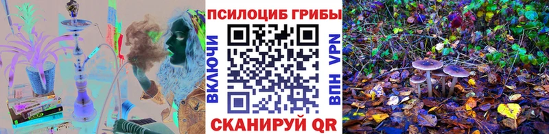 цены наркотик  Свободный  Галлюциногенные грибы Magic Shrooms 